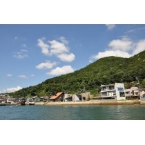 海から見る浄土寺山一帯