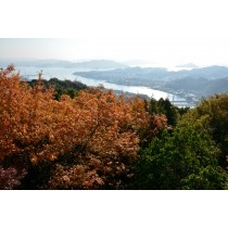 浄土寺山展望台からの風景