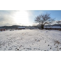 千光寺公園の雪景色