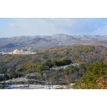 千光寺公園から見る尾道の雪景色