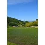 岩倉の水から見た風景