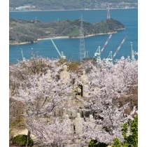 春の白滝山