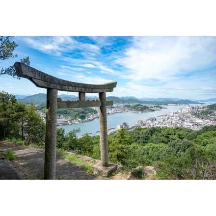 浄土寺山登山道の鳥居