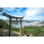 浄土寺山登山道の鳥居