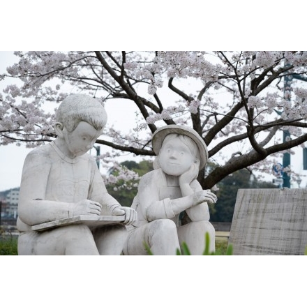 尾道駅前の桜