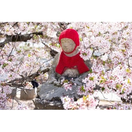 宝土寺のお地蔵さんと桜