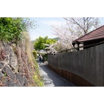 桜が咲く路地風景