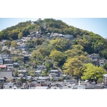 尾道市役所展望デッキから見る春の千光寺山