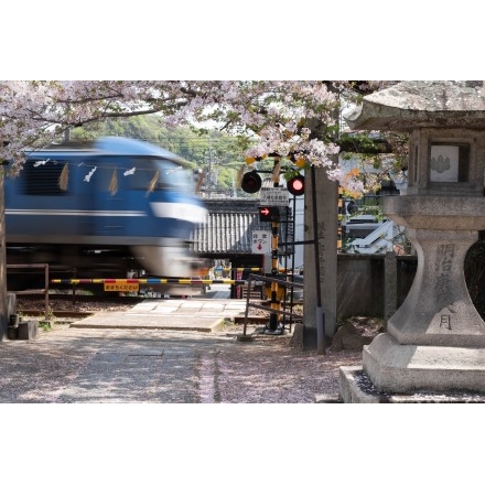 久保八幡神社の桜と貨物列車