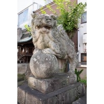 八坂神社の狛犬