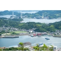 因島公園から見る土生港一帯の風景