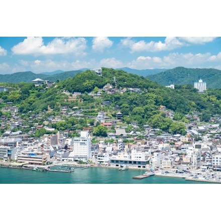 岩屋山から見る尾道の夏風景