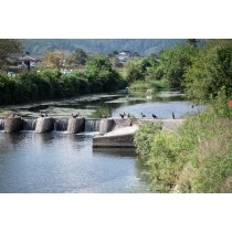 秋の御調川の風景