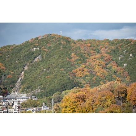 岩屋山から見る紅葉した浄土寺山