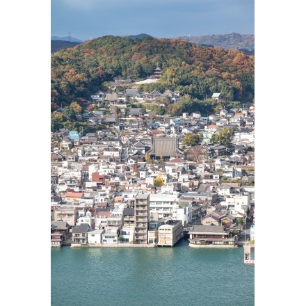 岩屋山から見る紅葉した西國寺山