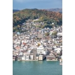 岩屋山から見る紅葉した西國寺山