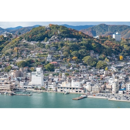 岩屋山から見る千光寺一帯の風景