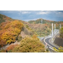 紅葉に包まれたしまなみ海道