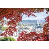 紅葉越しに見る尾道市街地