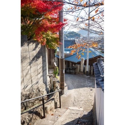 No.7395 大山寺そばの路地風景