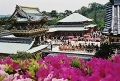 耕三寺「茶筅供養法要並びに供茶式」