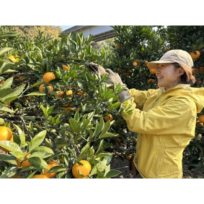 みんなで全もぎ! シトサポ1DAY in 高根島
