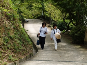 晩夏の向上寺参道