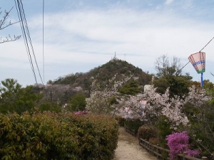 春の山