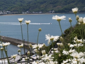 夏と同居