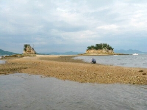 大浜の八重子島