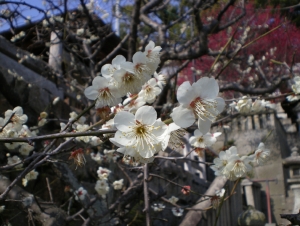 春の息吹