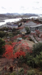 千光寺公園の紅葉