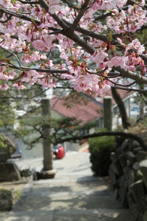 千光寺の参道