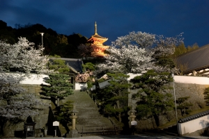 西国寺の夜桜