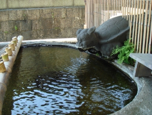 この水うまい♪