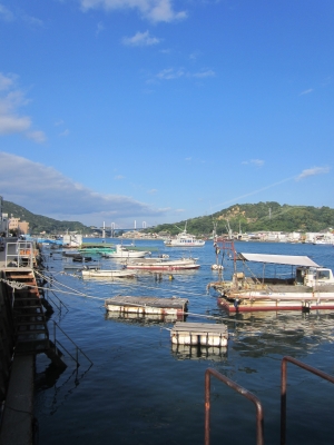 海辺の美術館から♪