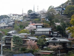 春の天寧寺