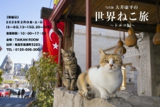 写真展「大井康平の世界ねこ旅~トルコ編」
