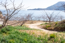 船隠し公園の全景